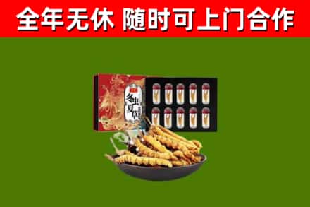 达尔罕茂明安联合旗回收冬虫夏草价格